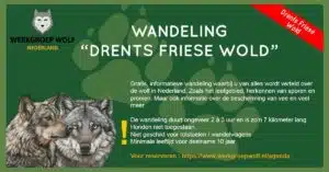 Wandeling Drents Friese Wold small