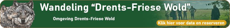 Wandeling; Drents-Friese Wold