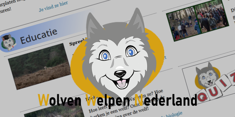 Logo van Wout de Welpenscout, Wolven Welpen Nederland, wout.werkgroepwolf.nl