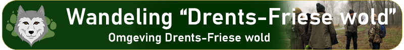 Wandeling; Drents-Friese Wold