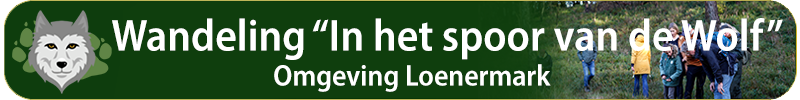 Wandeling; Drents-Friese Wold