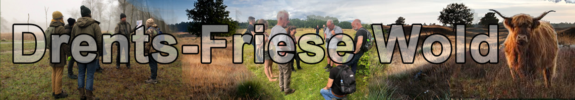 Banner met excursiedeelnemers in het Drents-Friese Wold en een Schotse hooglander op de heide