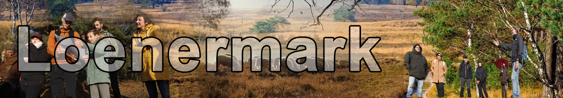 Banner met groep excursiedeelnemers en heidelandschap in de Loenermark