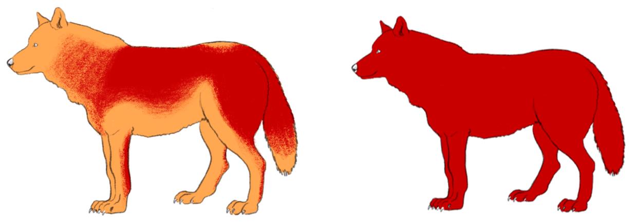 Categorie 3 schurftbesmetting. Witte gebieden duiden op geen symptomen, oranje gebieden op een veranderde vachtstructuur en/of -dichtheid. Rode gebieden symboliseren kale plekken.