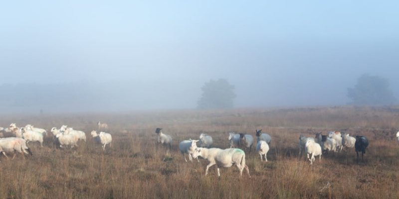 Foto uit het verhaal van Marc Baars